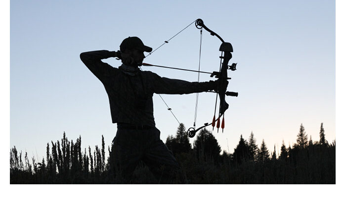 PWI III structure.jpg